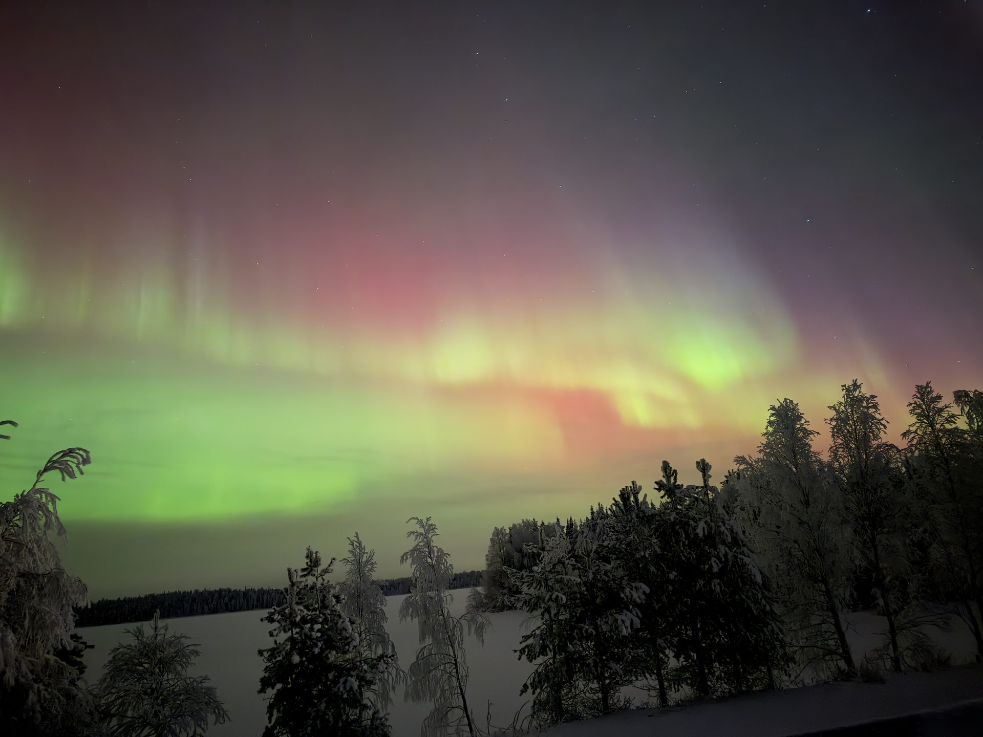 Aurora borealis over a snowy Nordic forest and frozen lake