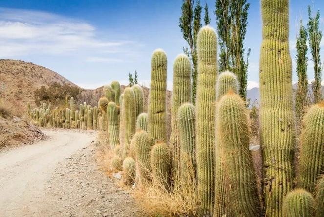 Amazing Salta