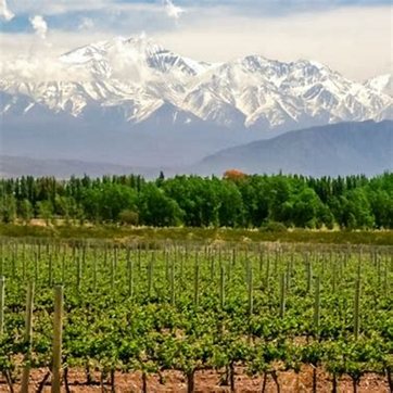 Argentina for Good Life Degustators