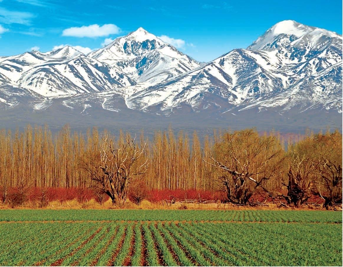 Argentina for Good Life Degustators