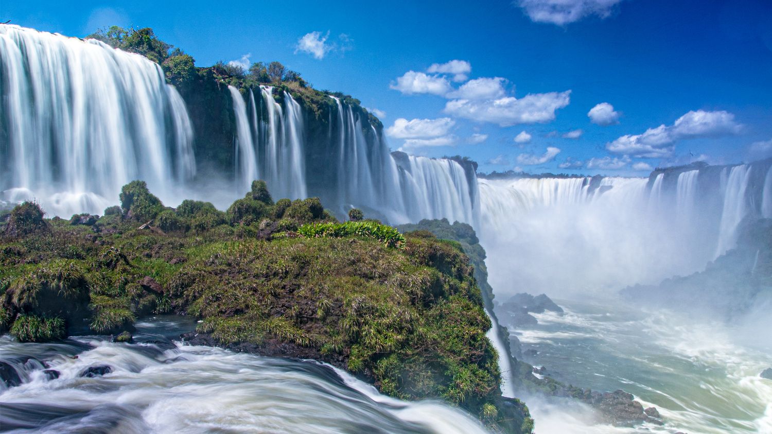 Brazil Coffee Tour