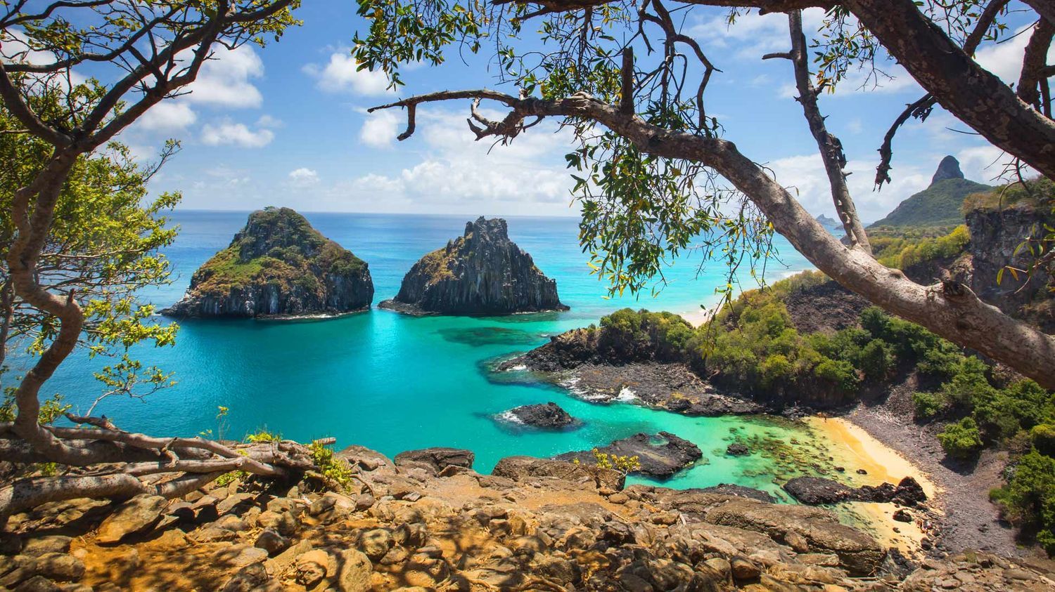 Paradise Brazil (Rio-Igu-Rec-Fernando de Noronha)