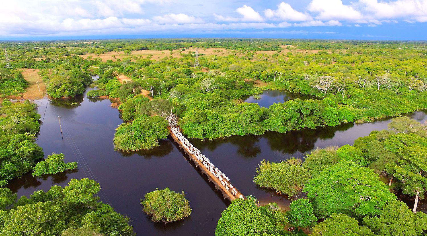 Southern Pantanal & Bonito