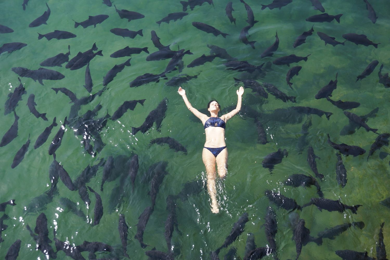 Southern Pantanal & Bonito
