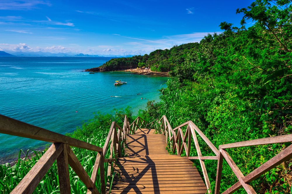 Tropical Brazil