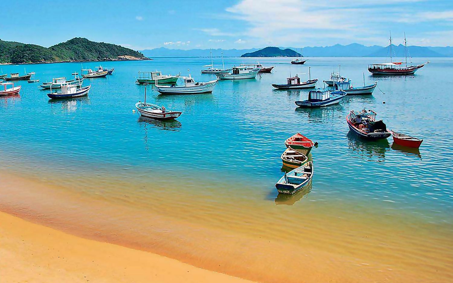 Tropical Brazil