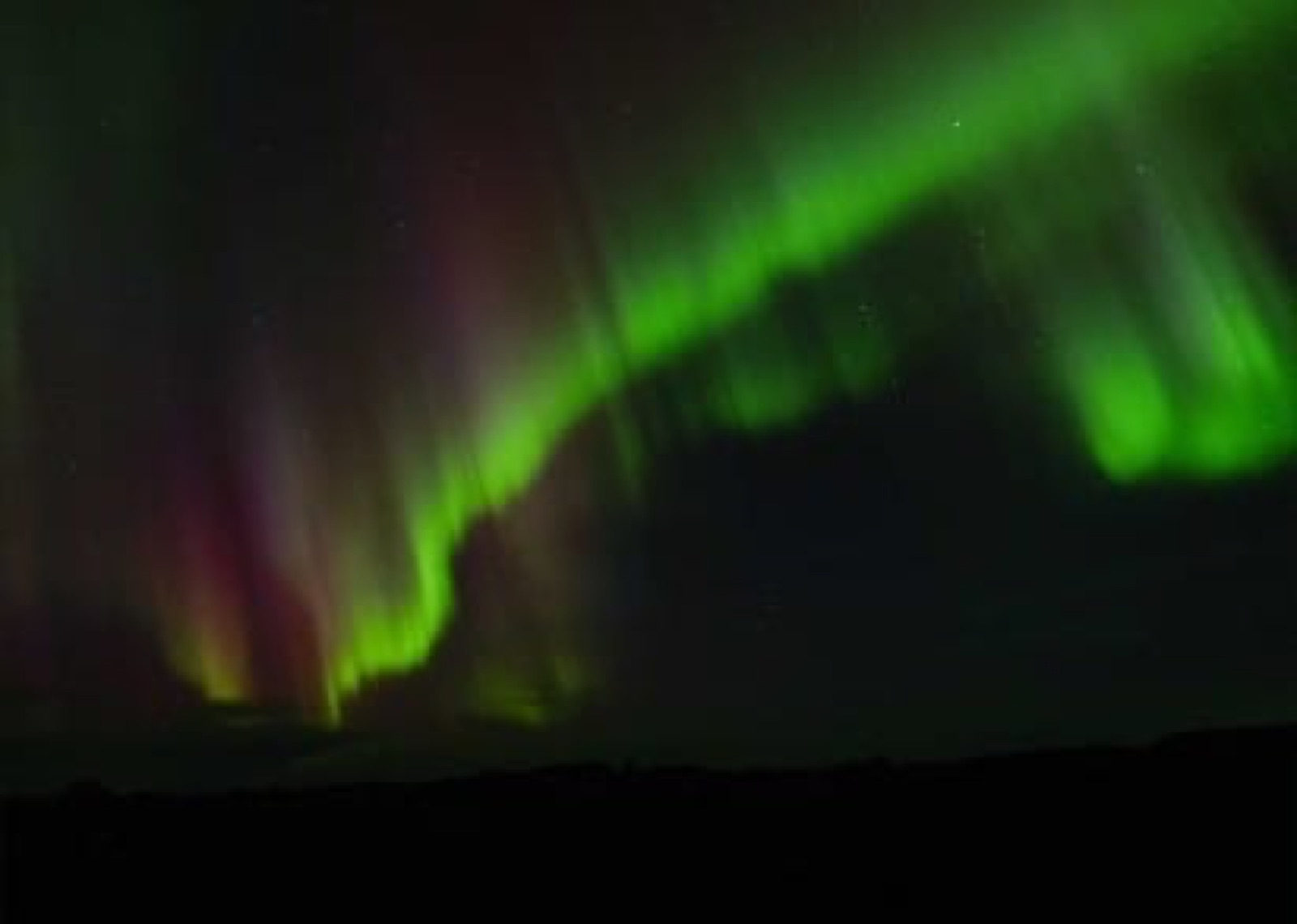 Green and magenta aurora borealis dancing above pine trees Ruka Finland